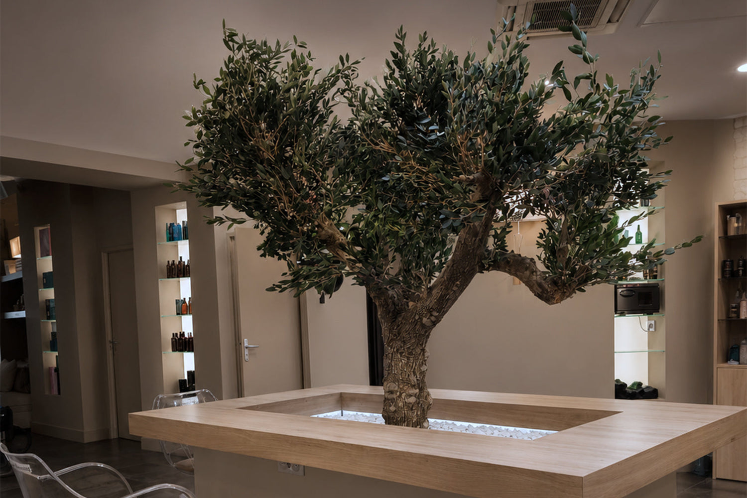 Olivier naturel stabilisé sur-mesure - Salon Prestige Coiffure, Chalon-sur-Saône (Bourgogne-Franche-Comté)