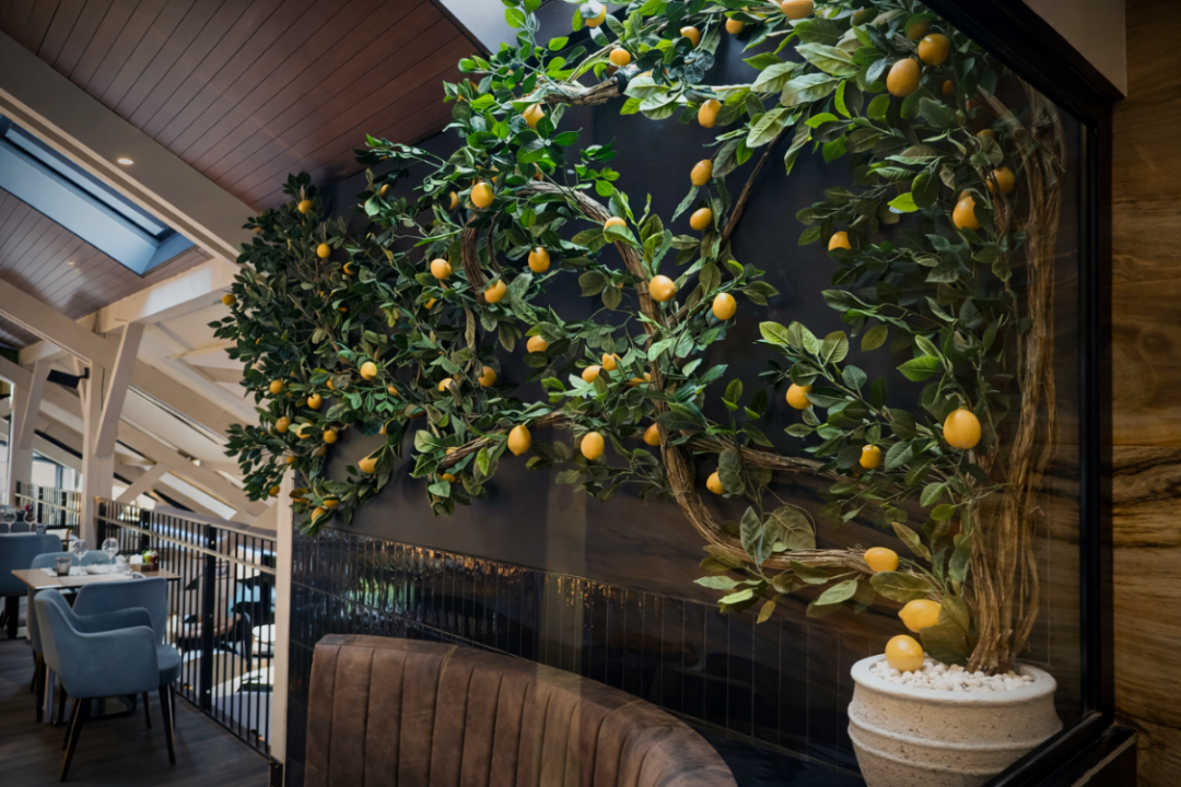 Installation de citronniers grimpants semi-naturels - Restaurant ITALORIA, Voglans (Savoie)