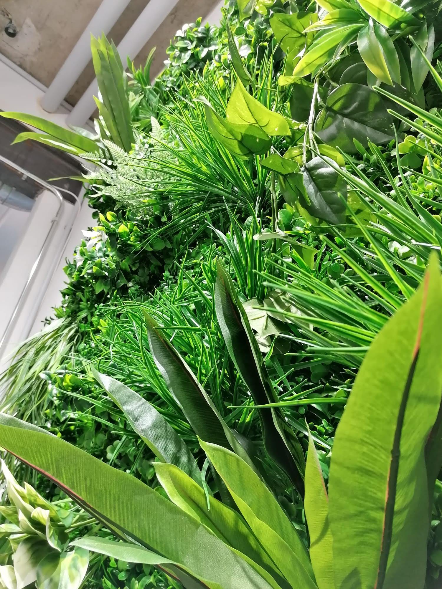 Le pouvoir de la couleur verte sur le cerveau