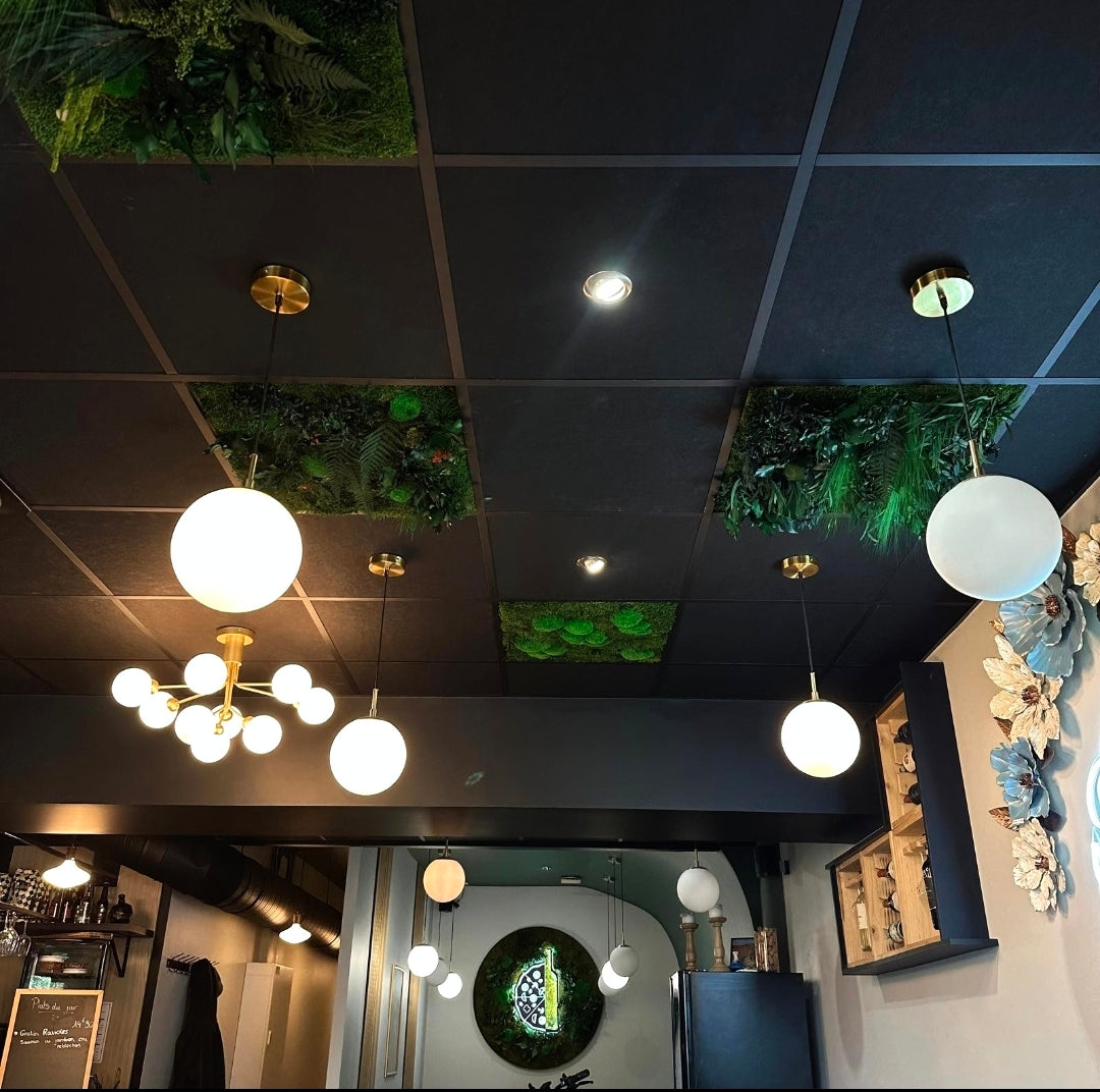 Dalles de plafond végétales acoustiques : design naturel & confort sonore – Naturall Green