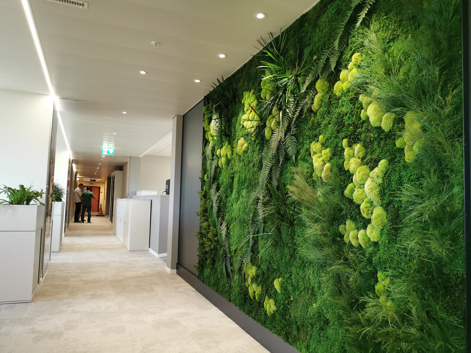 Les fausses croyances à propos des murs végétaux :