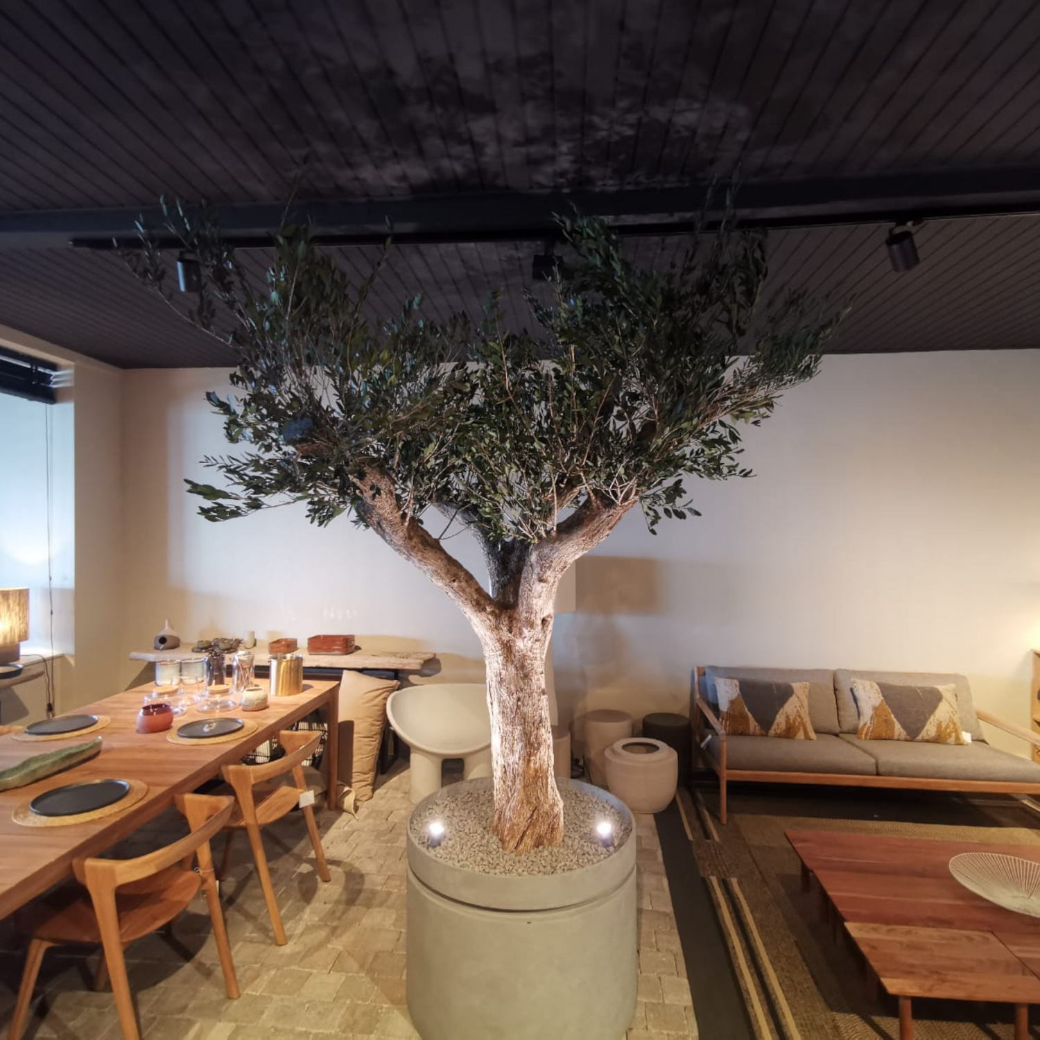 Un Olivier Stabilisé signé Naturall Green : Élégance et Nature sans Entretien