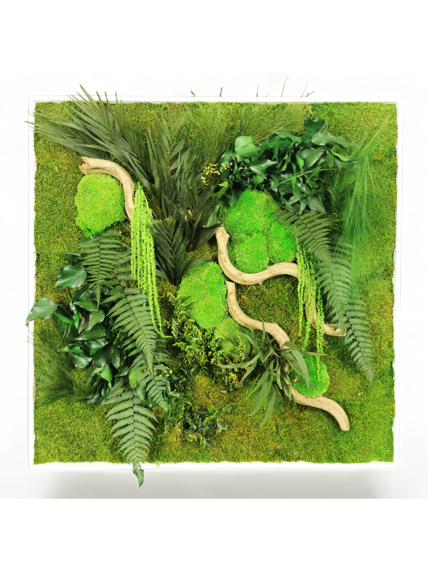 Tableau végétal stabilise Jungle