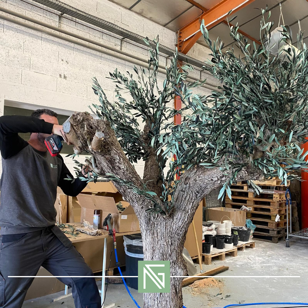 Détail feuillage olivier stabilisé - feuilles naturelles vert argenté préservées - texture authentique méditerranéenne - arbre stabilisé 200 cm sans entretien eau soleil - décoration végétale premium France