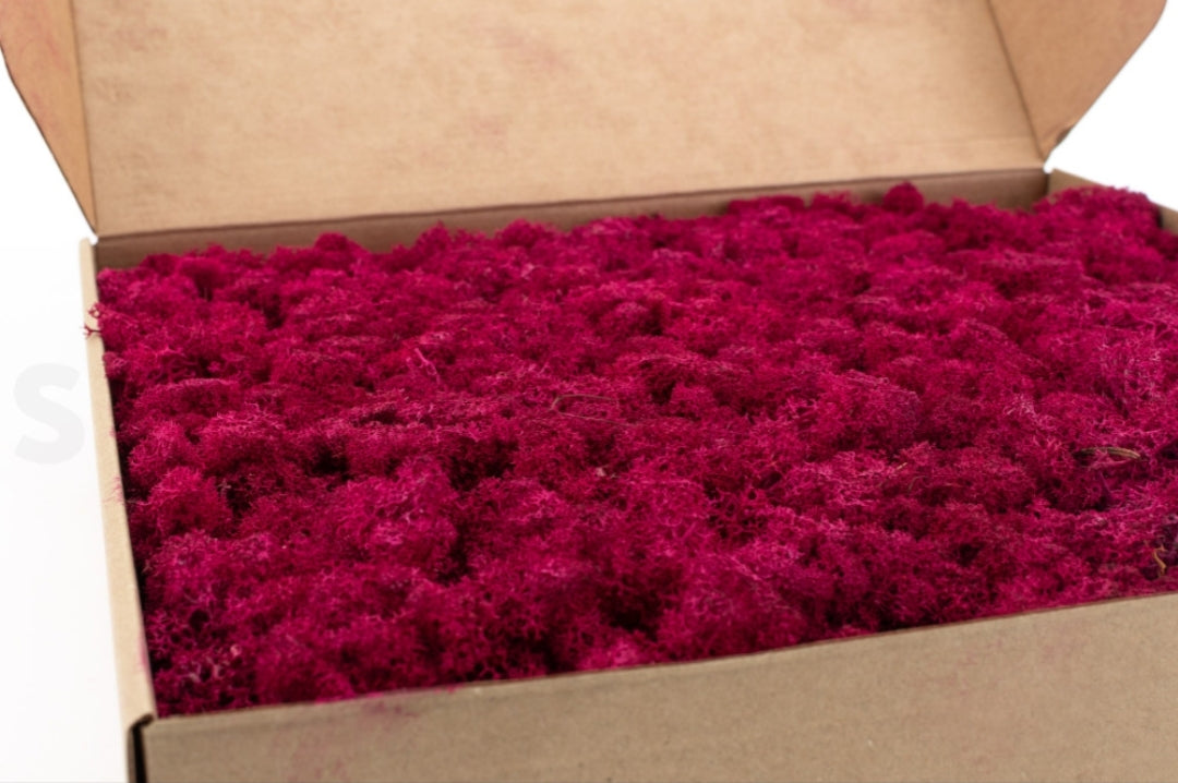 Lichens stabilisés ( 1kg ) 13 couleurs