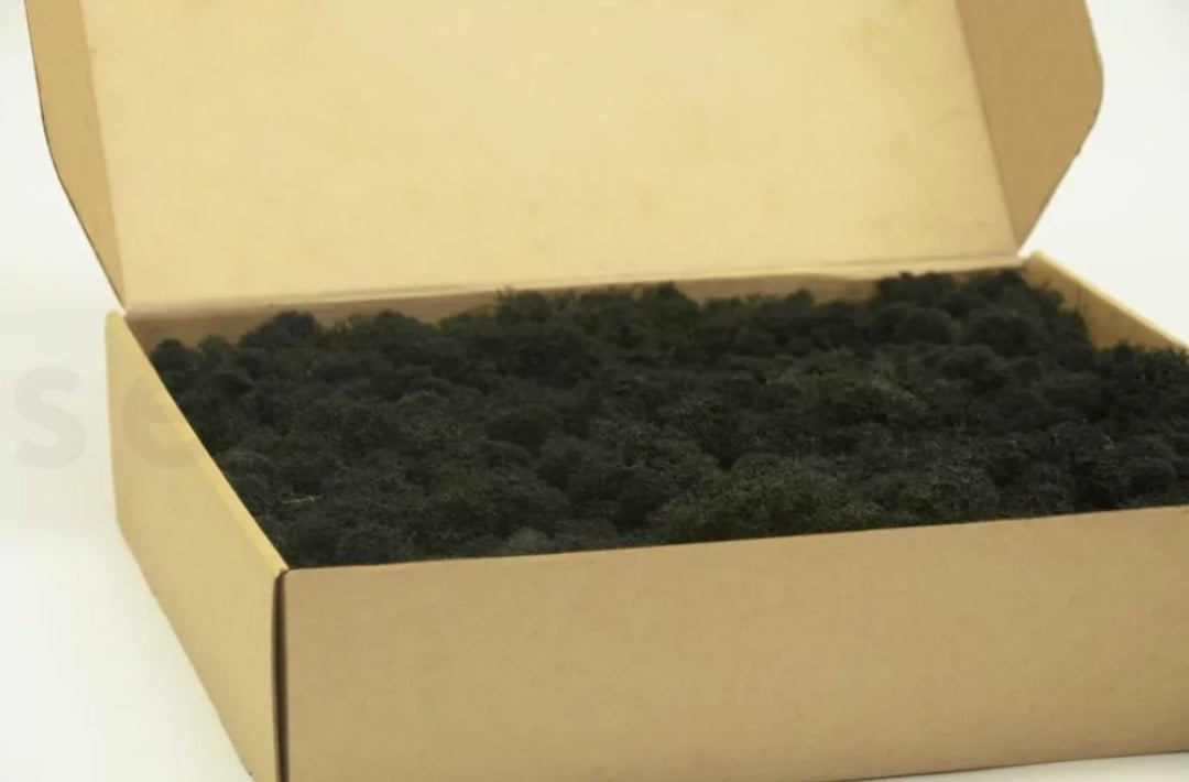 mousse stabilisée plate décoration murale bureau moderne
mousse stabilisée boule relief acoustique salle réunion
mousse stabilisée lichen colorée aménagement intérieur design
mousse stabilisée verte naturelle tableau végétal premium
mousse stabilisée sans entretien décoration professionnelle