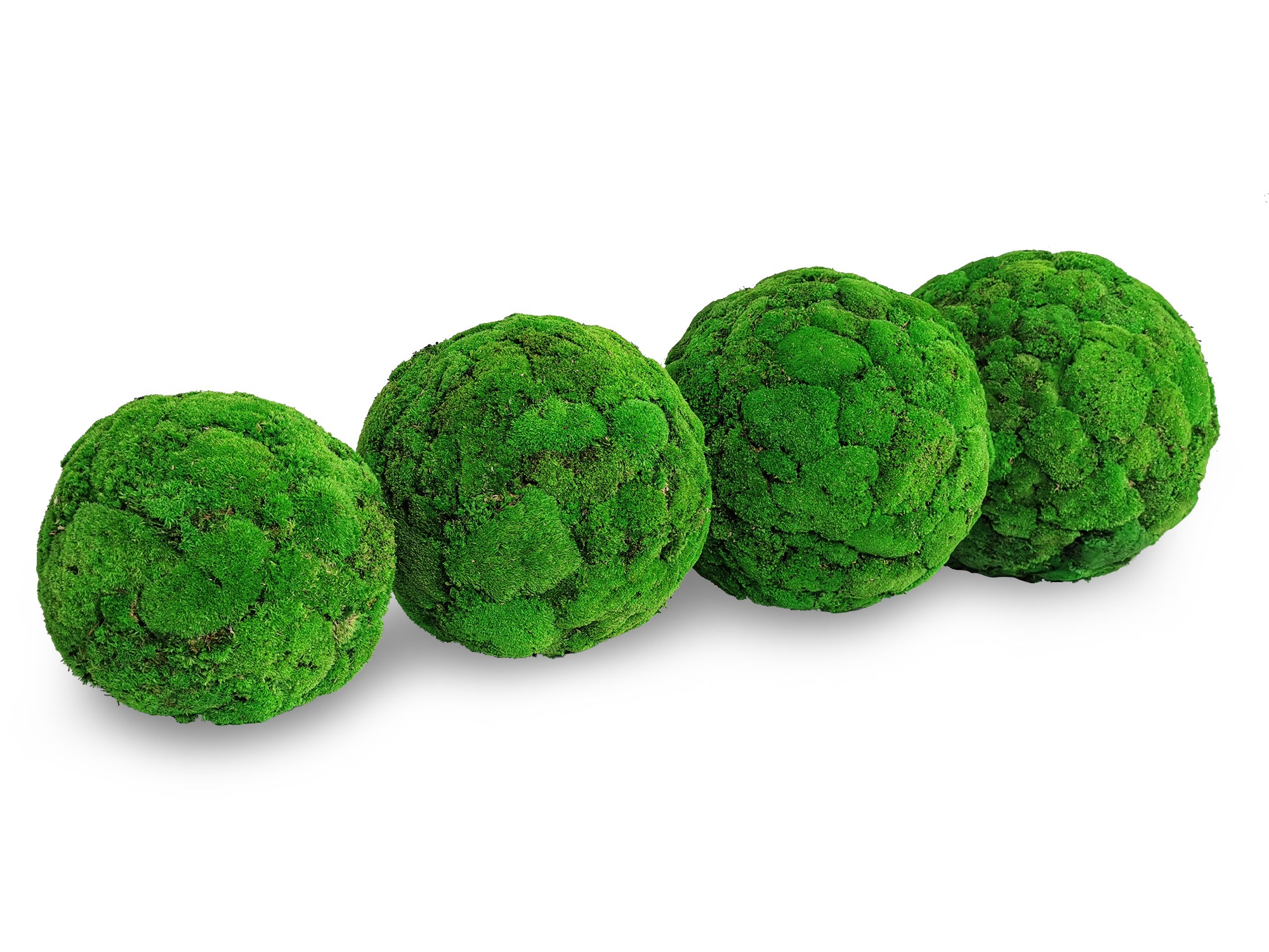 Kugel aus stabilisiertem Moos