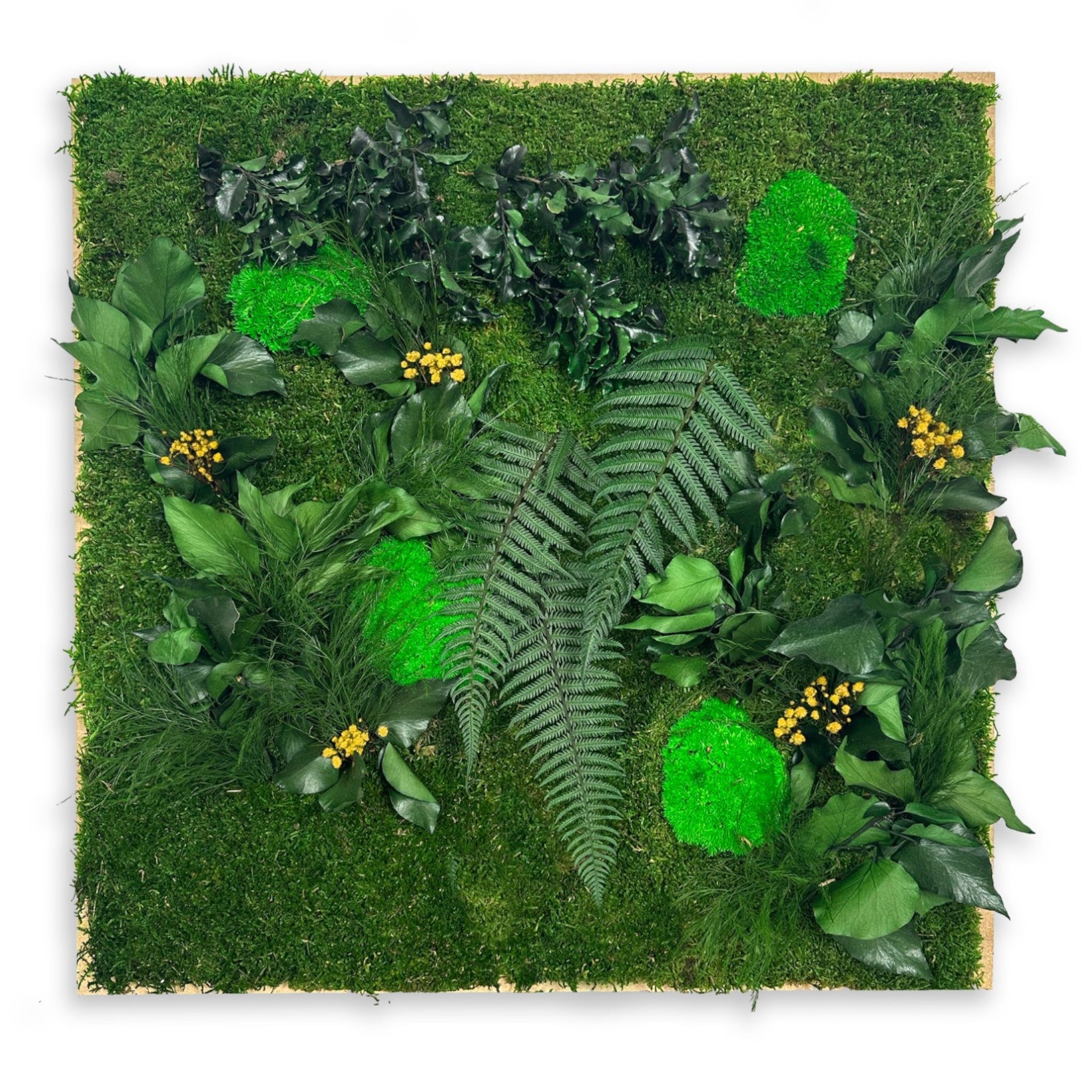 dalles végétales stabilisées aménagement mural professionnel
dalles végétales modulaires décoration intérieure moderne
dalles végétales artificielles espaces de travail design
panneaux végétaux stabilisés installation murale entreprise
dalles végétales sur mesure hall accueil luxe