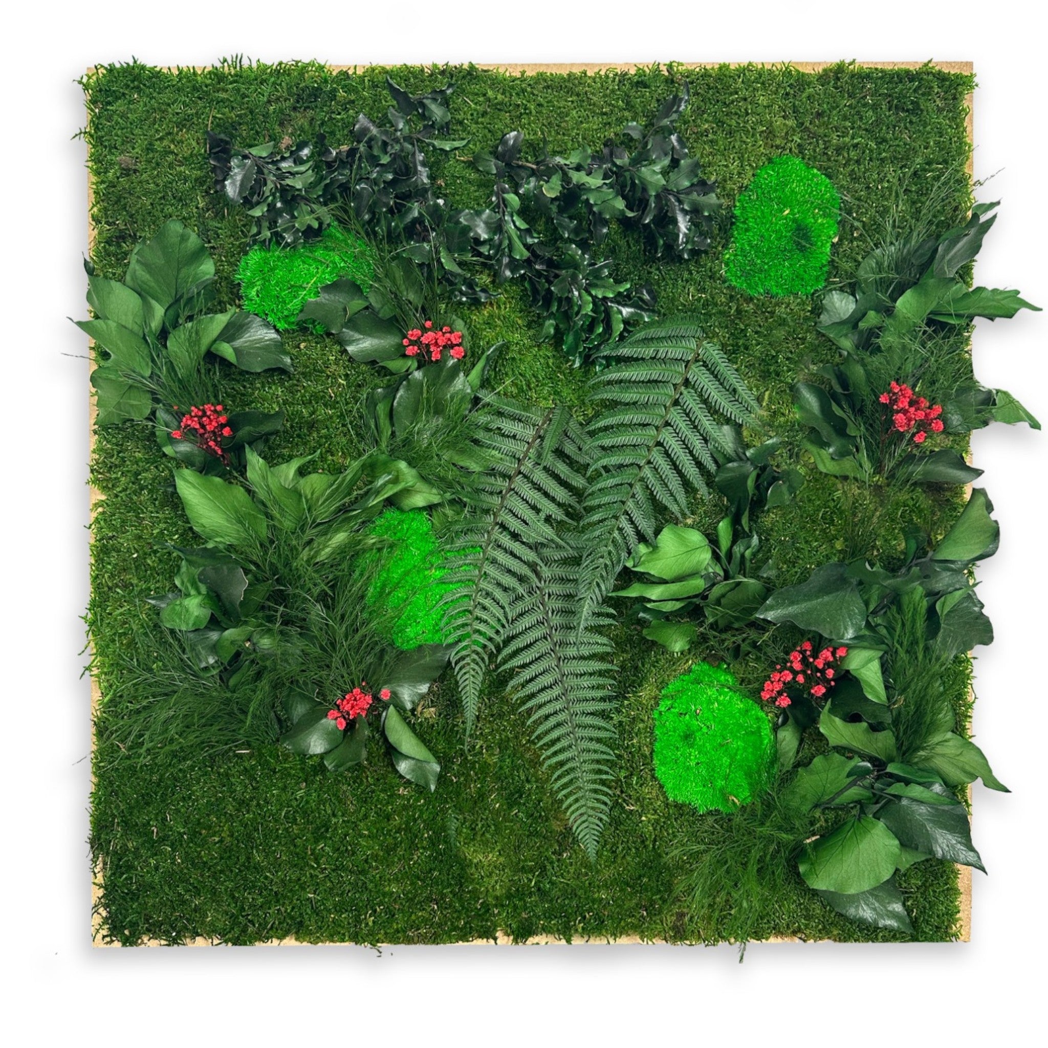 dalles végétales stabilisées aménagement mural professionnel
dalles végétales modulaires décoration intérieure moderne
dalles végétales artificielles espaces de travail design
panneaux végétaux stabilisés installation murale entreprise
dalles végétales sur mesure hall accueil luxe