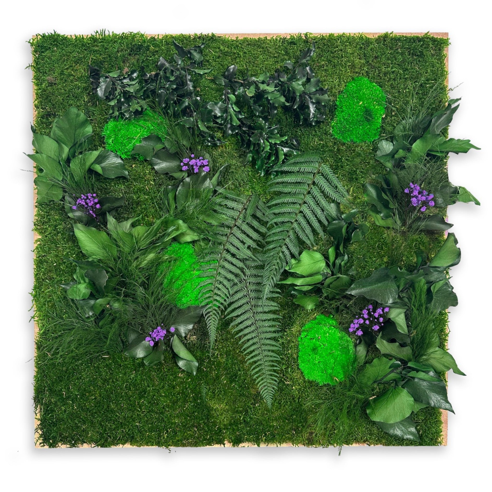 dalles végétales stabilisées aménagement mural professionnel
dalles végétales modulaires décoration intérieure moderne
dalles végétales artificielles espaces de travail design
panneaux végétaux stabilisés installation murale entreprise
dalles végétales sur mesure hall accueil luxe