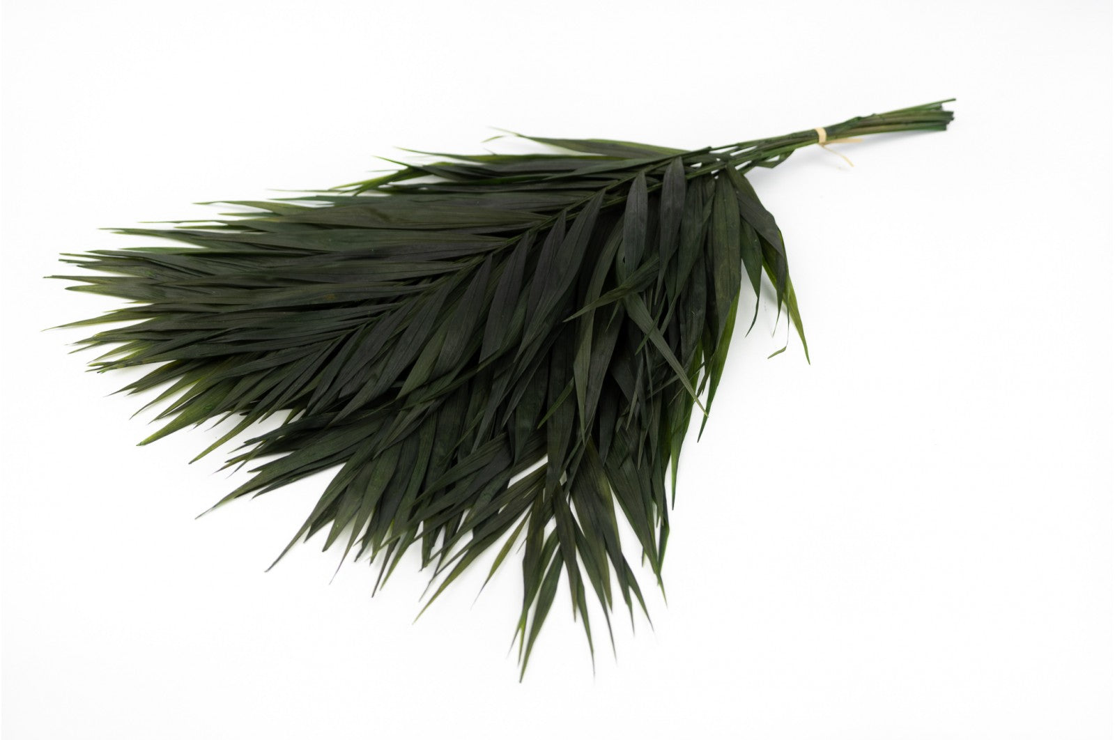 feuillage stabilisé eucalyptus décoration végétale naturelle
feuillage stabilisé fougère aménagement bureau biophilique
feuillage stabilisé barba texture végétale intérieure
feuillage stabilisé mixte tableau végétal sur mesure
feuillage stabilisé premium mur végétal entreprise luxe