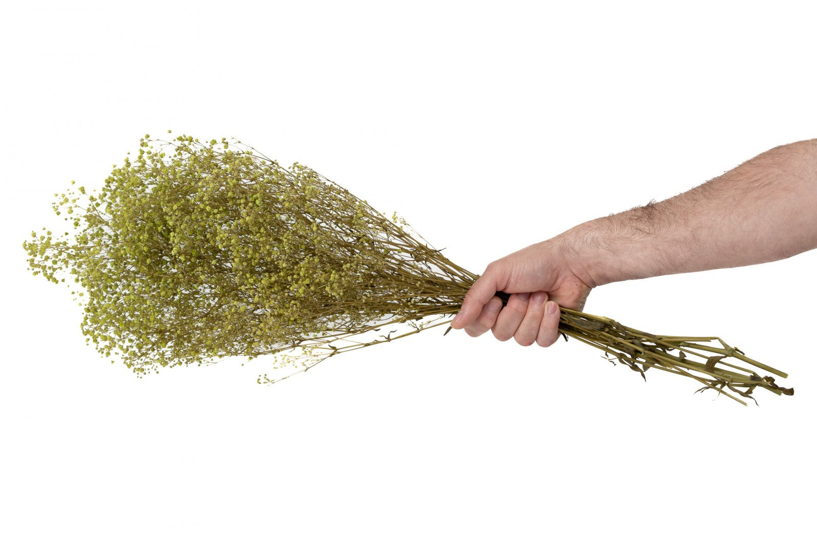 feuillage stabilisé eucalyptus décoration végétale naturelle
feuillage stabilisé fougère aménagement bureau biophilique
feuillage stabilisé barba texture végétale intérieure
feuillage stabilisé mixte tableau végétal sur mesure
feuillage stabilisé premium mur végétal entreprise luxe
fleur stabilise