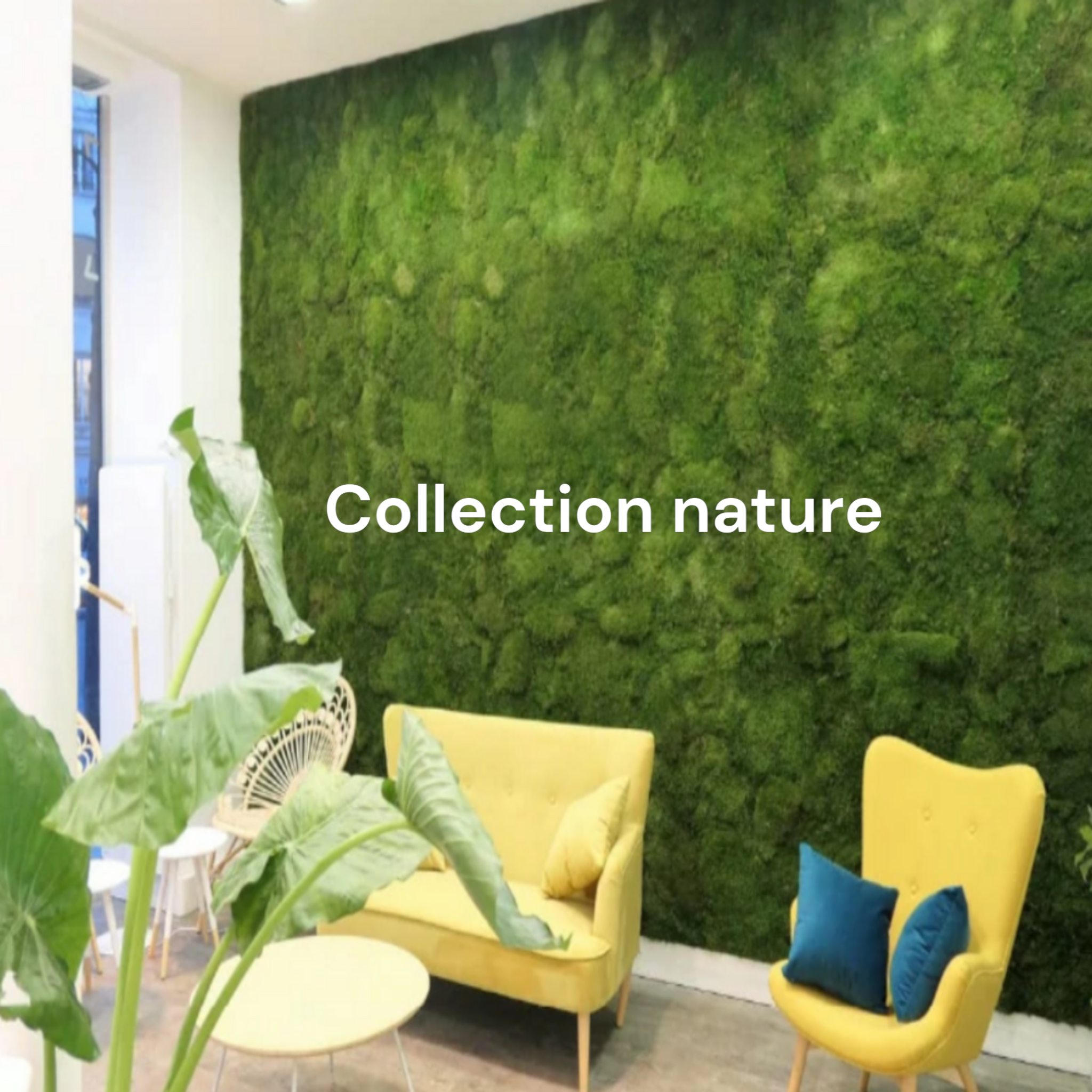 Mur végétal naturel stabilisé sur mesure