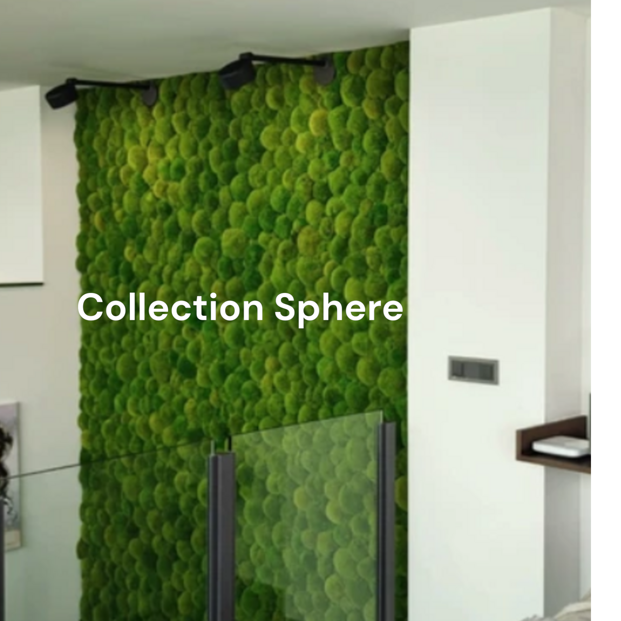 Mur végétal naturel stabilisé sur mesure