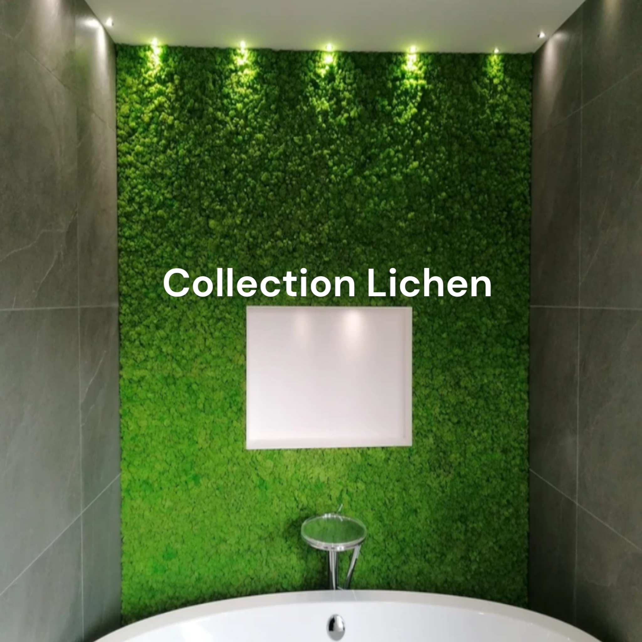 Mur végétal naturel stabilisé sur mesure
