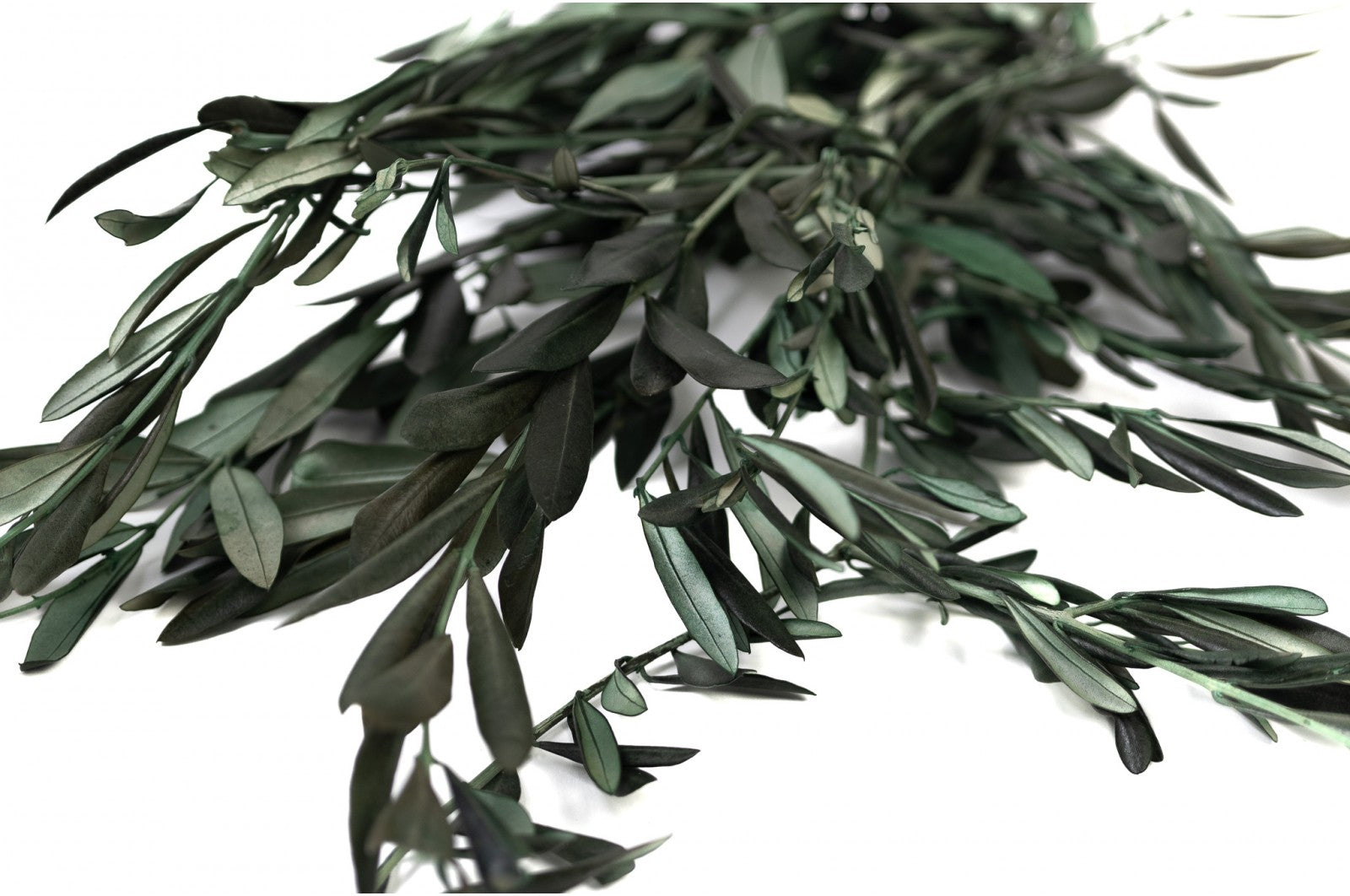 feuillage stabilisé eucalyptus décoration végétale naturelle
feuillage stabilisé fougère aménagement bureau biophilique
feuillage stabilisé barba texture végétale intérieure
feuillage stabilisé mixte tableau végétal sur mesure
feuillage stabilisé premium mur végétal entreprise luxe
olivier stabilise