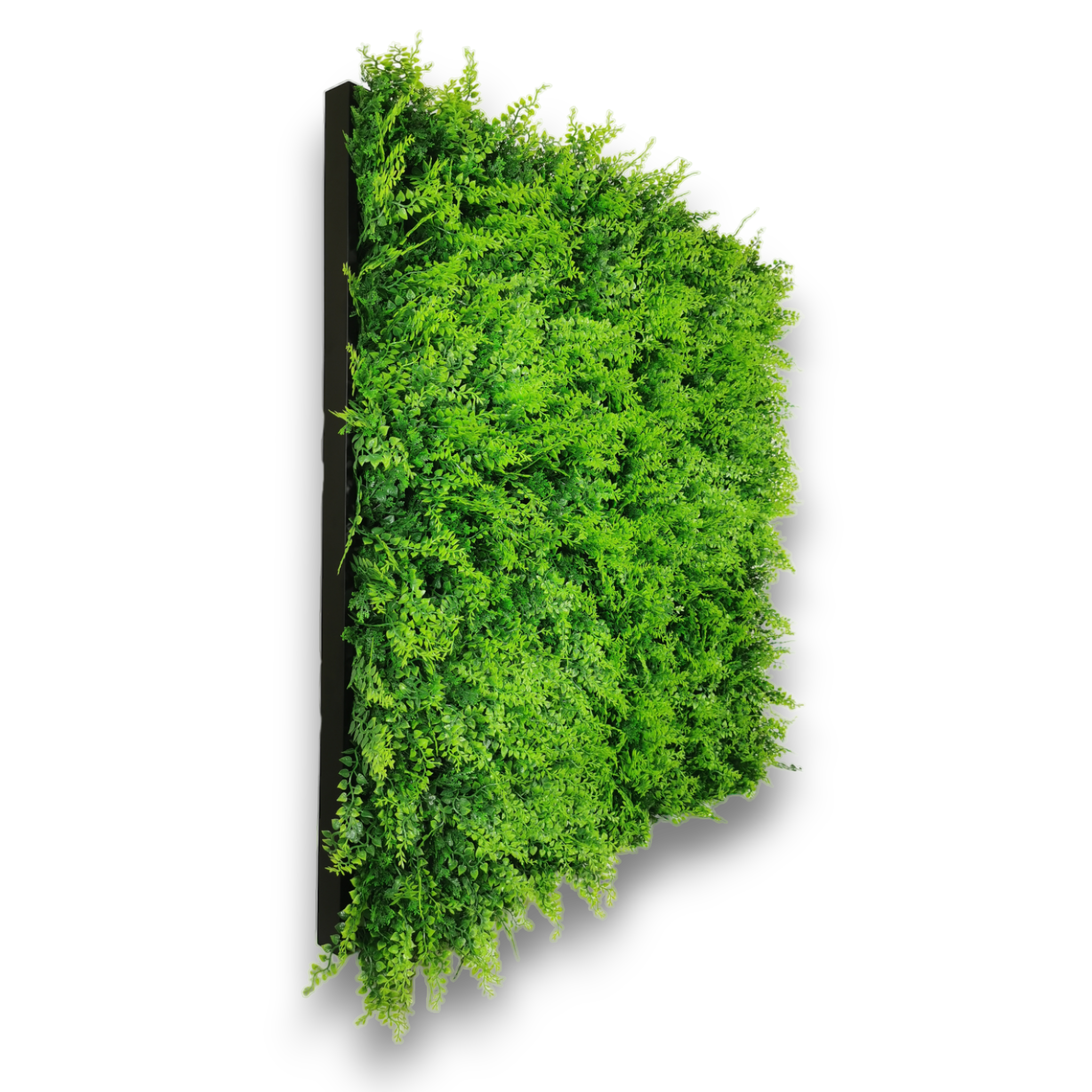 Tableau végétal artificiel Nature