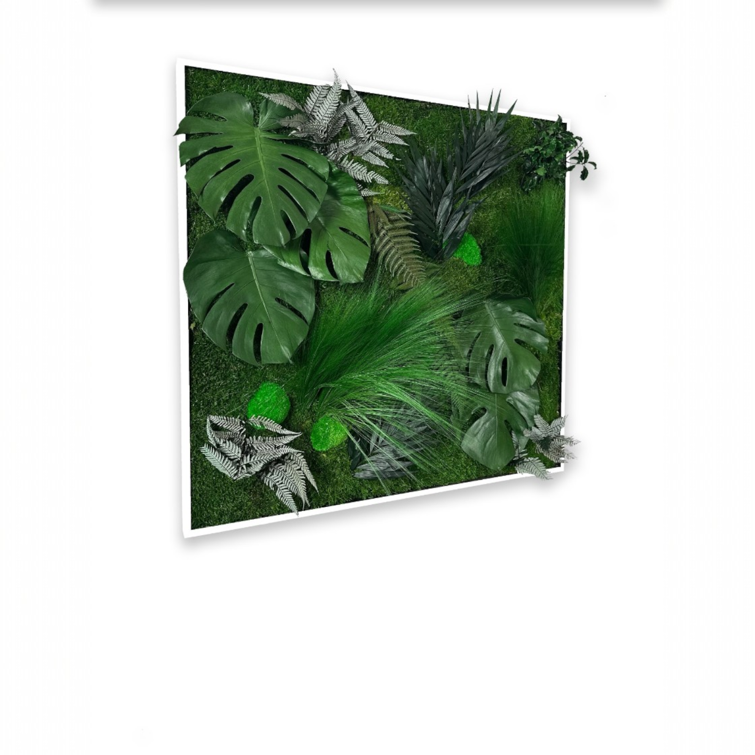 tableau végétal stabilisé carré mousse bureau moderne
tableau végétal stabilisé rectangulaire fougère salon design
tableau végétal stabilisé rond eucalyptus accueil entreprise
cadre végétal stabilisé sur mesure salle réunion
tableau végétal stabilisé lichen open space professionnel