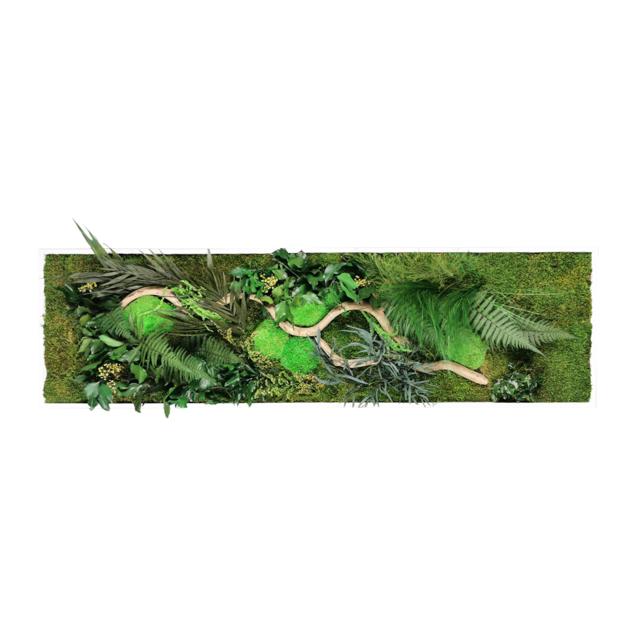 Tableau végétal naturel stabilisé Jungle 140x40