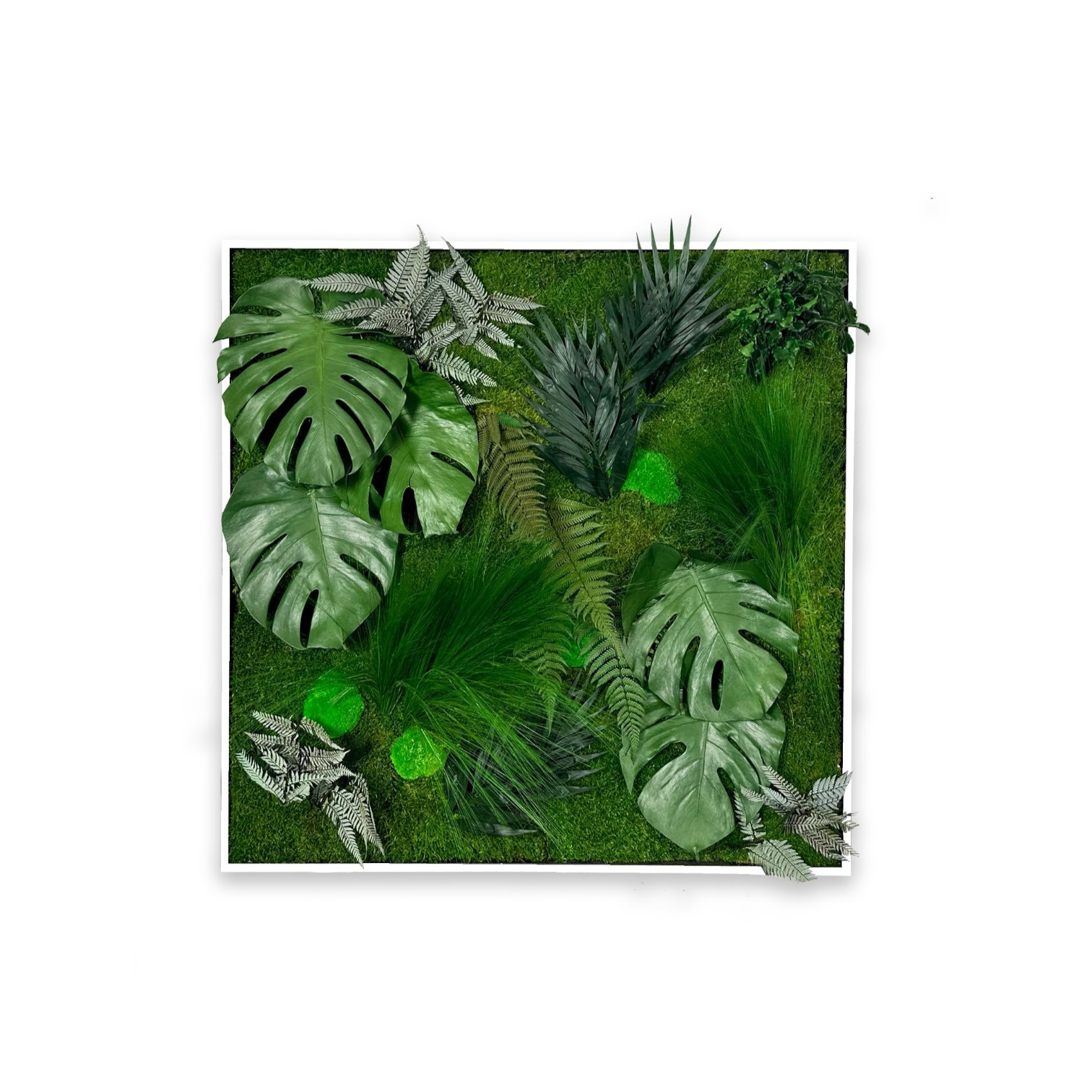tableau végétal stabilisé carré mousse bureau moderne
tableau végétal stabilisé rectangulaire fougère salon design
tableau végétal stabilisé rond eucalyptus accueil entreprise
cadre végétal stabilisé sur mesure salle réunion
tableau végétal stabilisé lichen open space professionnel