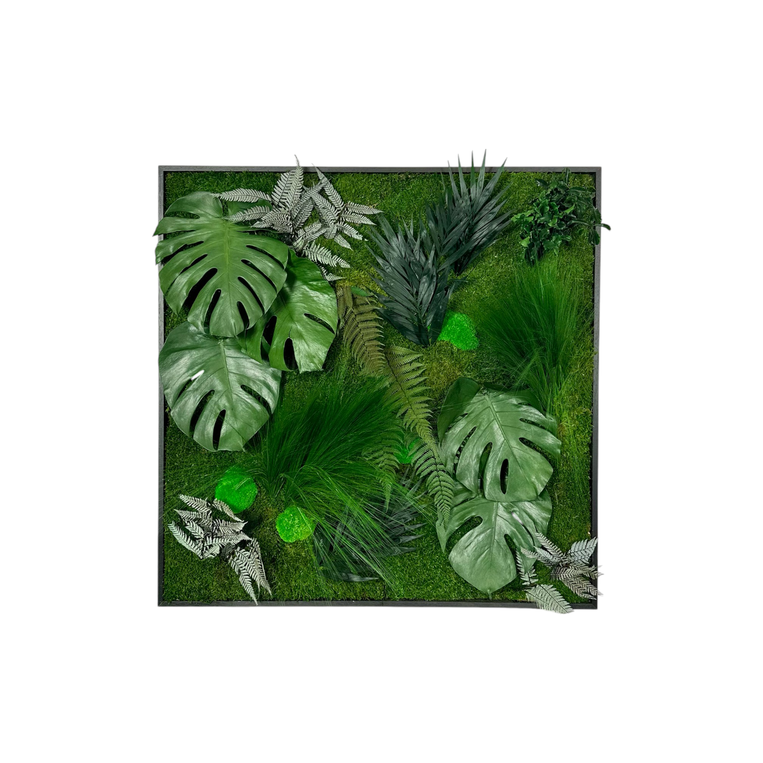 tableau végétal stabilisé carré mousse bureau moderne
tableau végétal stabilisé rectangulaire fougère salon design
tableau végétal stabilisé rond eucalyptus accueil entreprise
cadre végétal stabilisé sur mesure salle réunion
tableau végétal stabilisé lichen open space professionnel