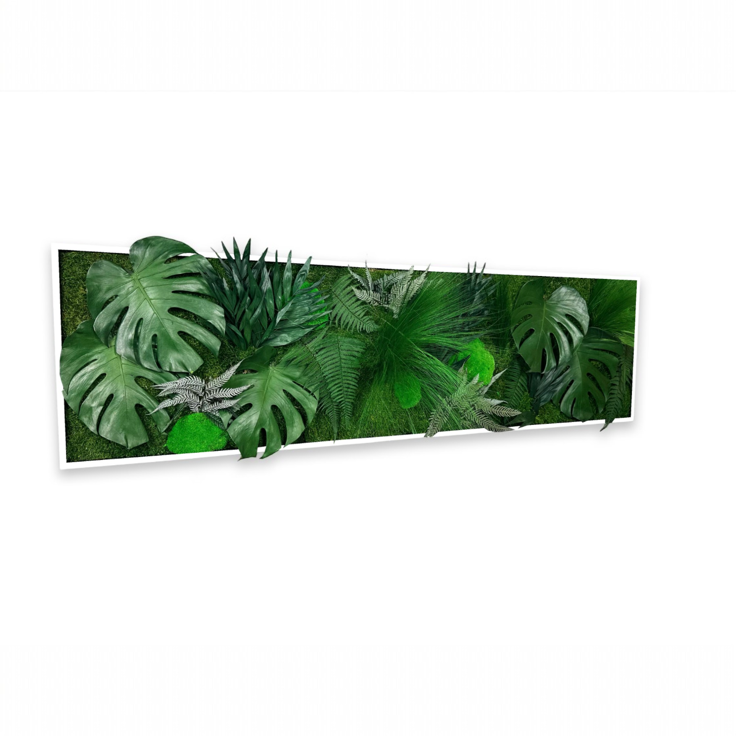 Tableau végétal naturel stabilisé Tropical 40x140