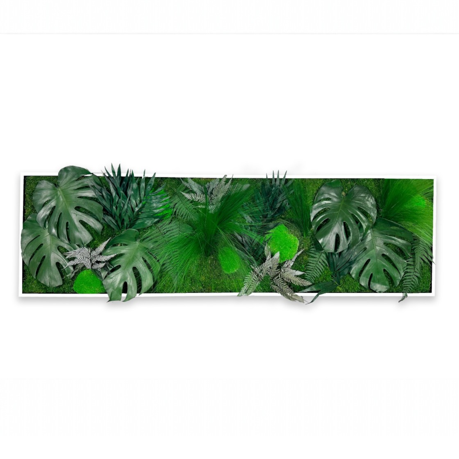 Tableau végétal naturel stabilisé Tropical 40x140