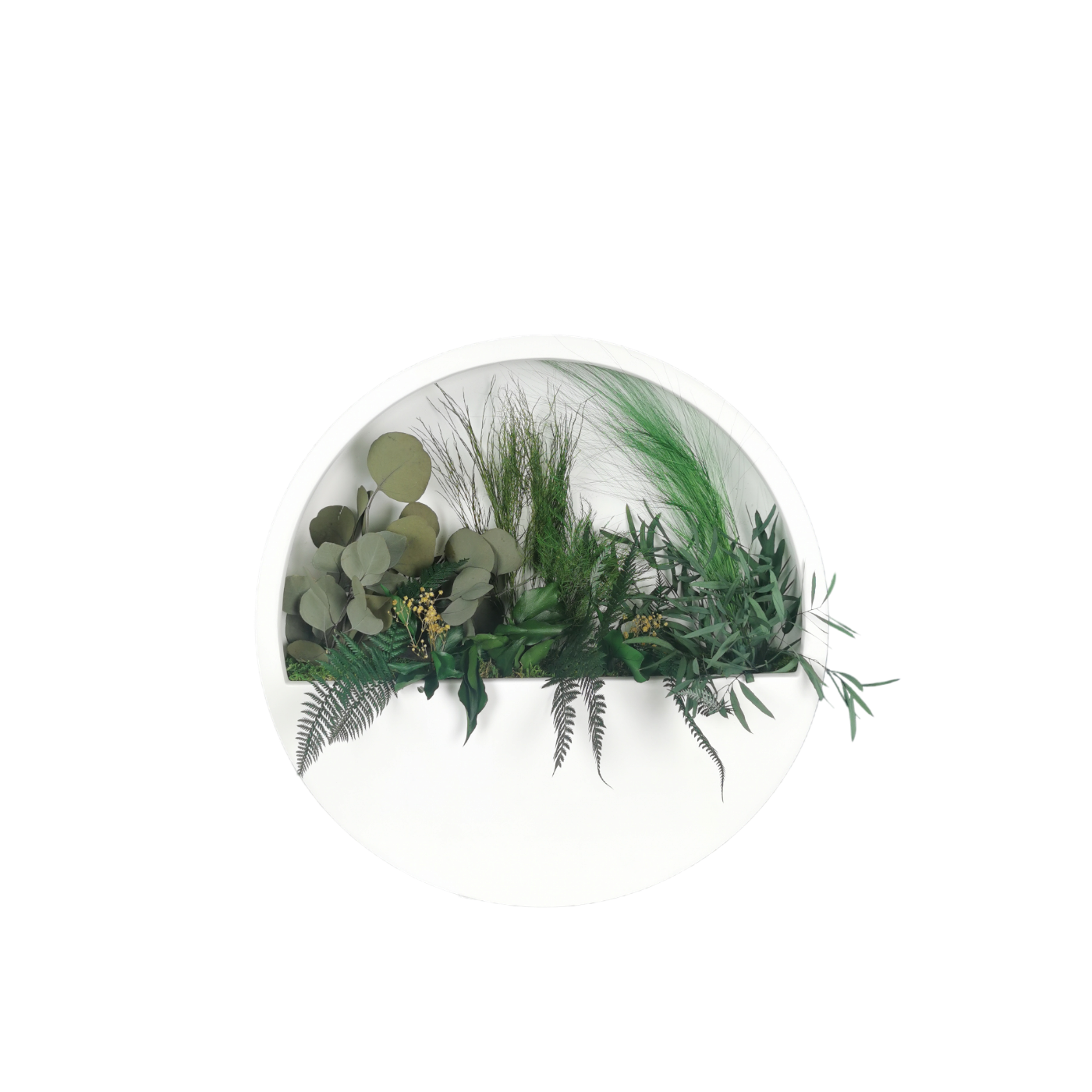 Tableau végétal naturel stabilisé Blanc demi-rond 50 Série Limitée