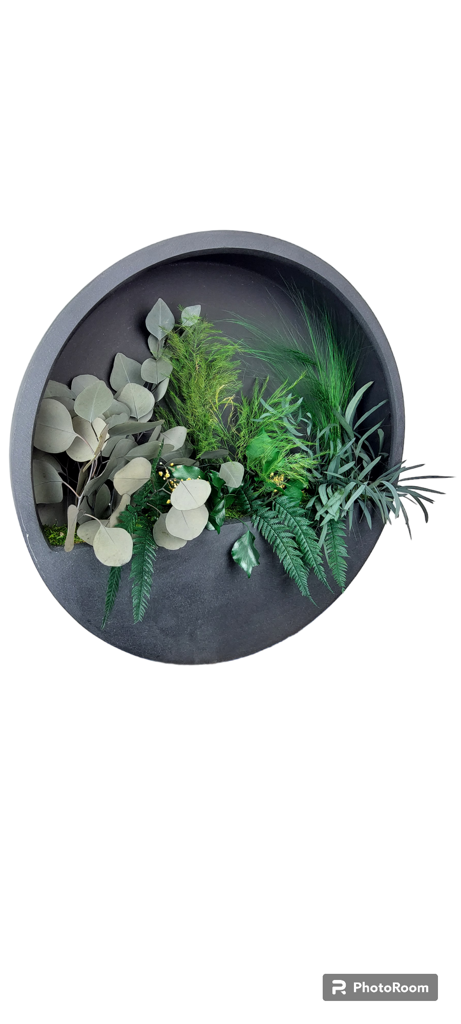 Tableau végétal naturel stabilisé Noir demi-rond 50 Série Limitée