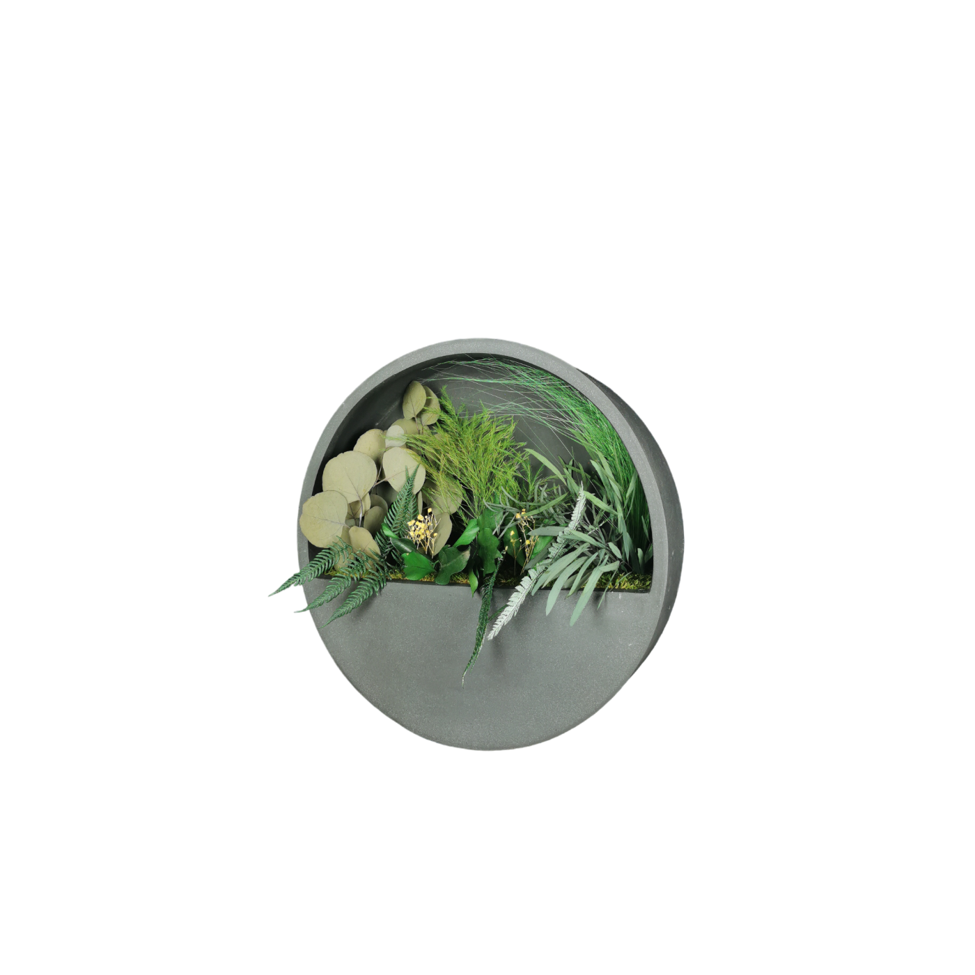 Tableau végétal naturel stabilisé Noir demi-rond 40 Série Limitée