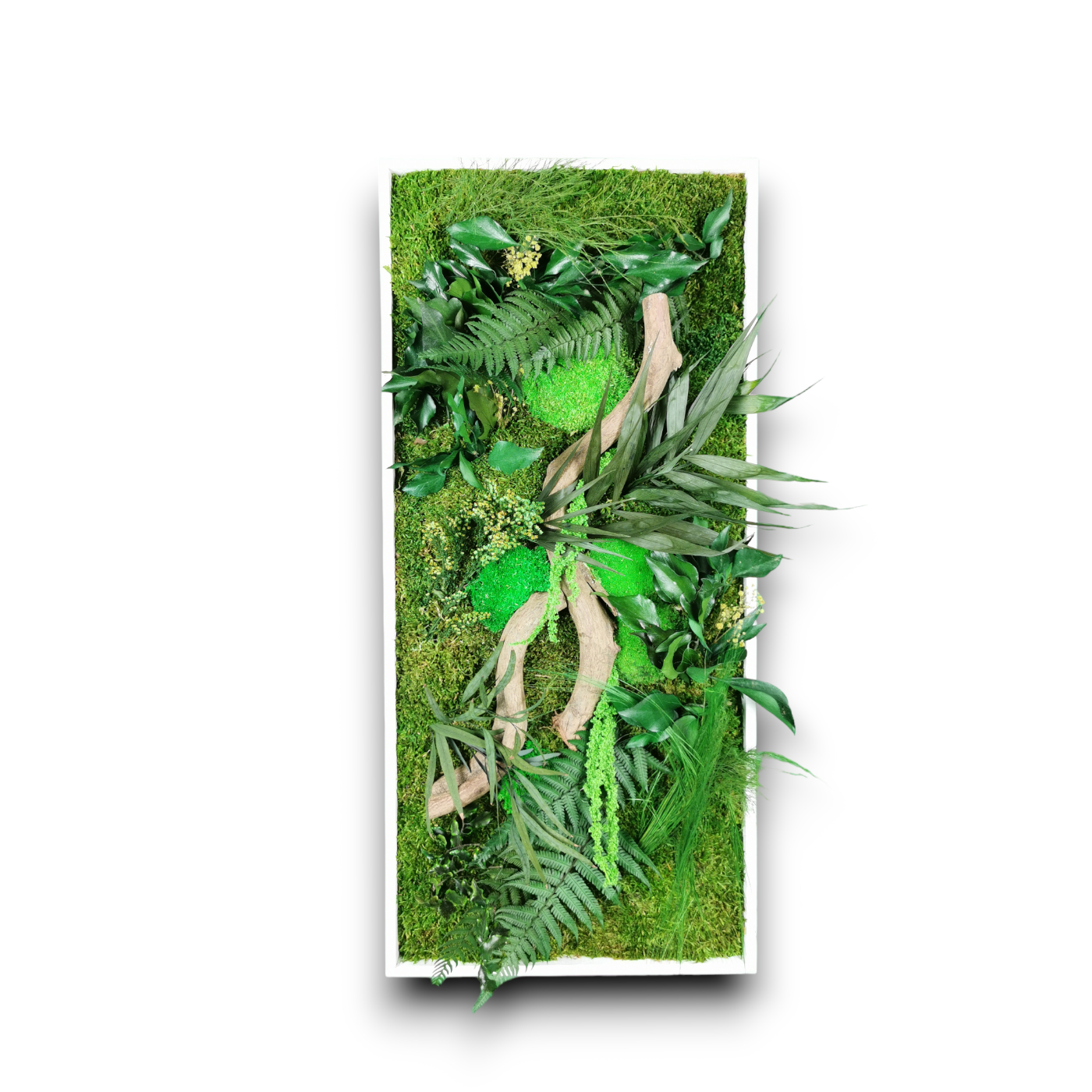 Natürlich stabilisiertes Pflanzenbild Jungle 34x74
