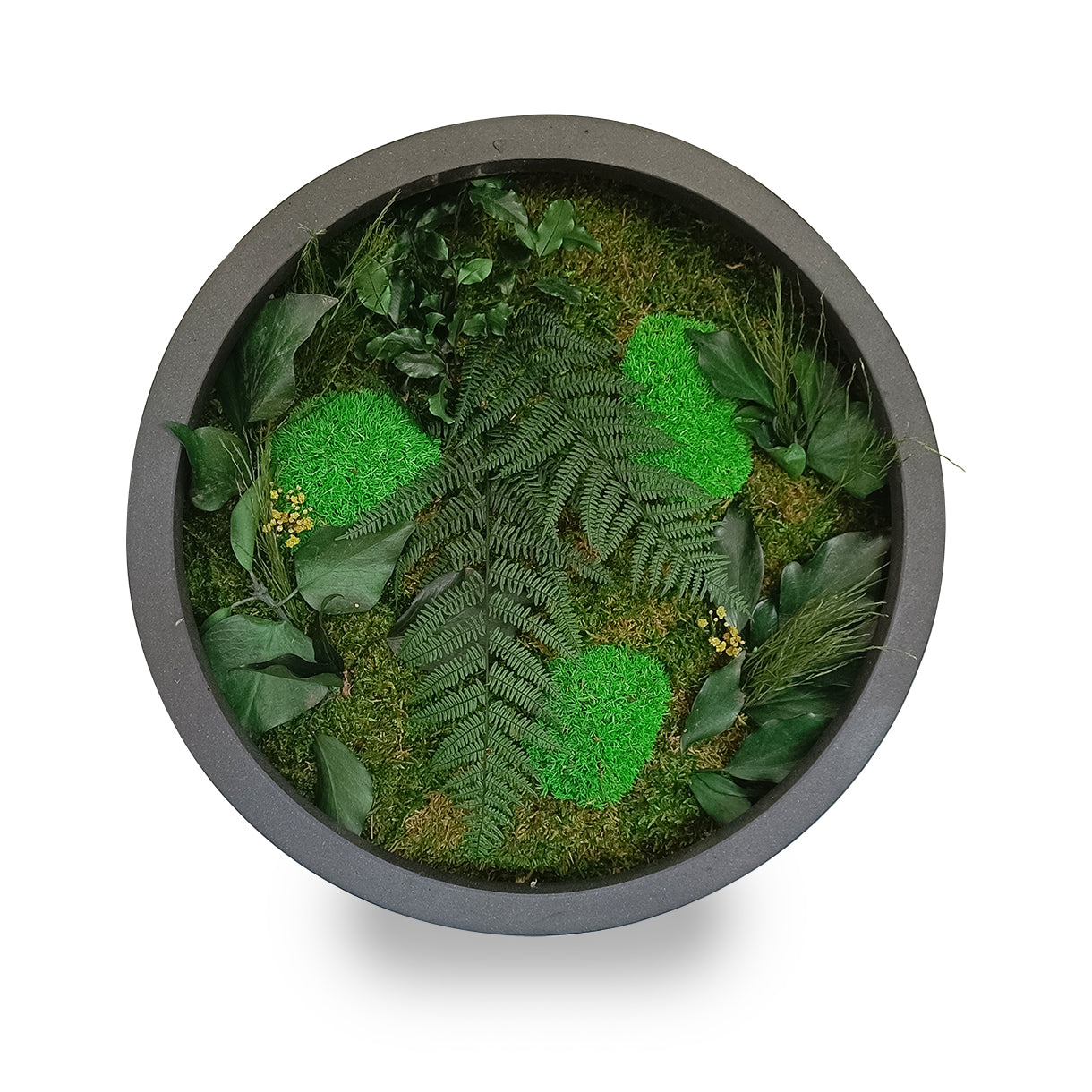 Tableau végétal naturel stabilisé rond Elegance 40