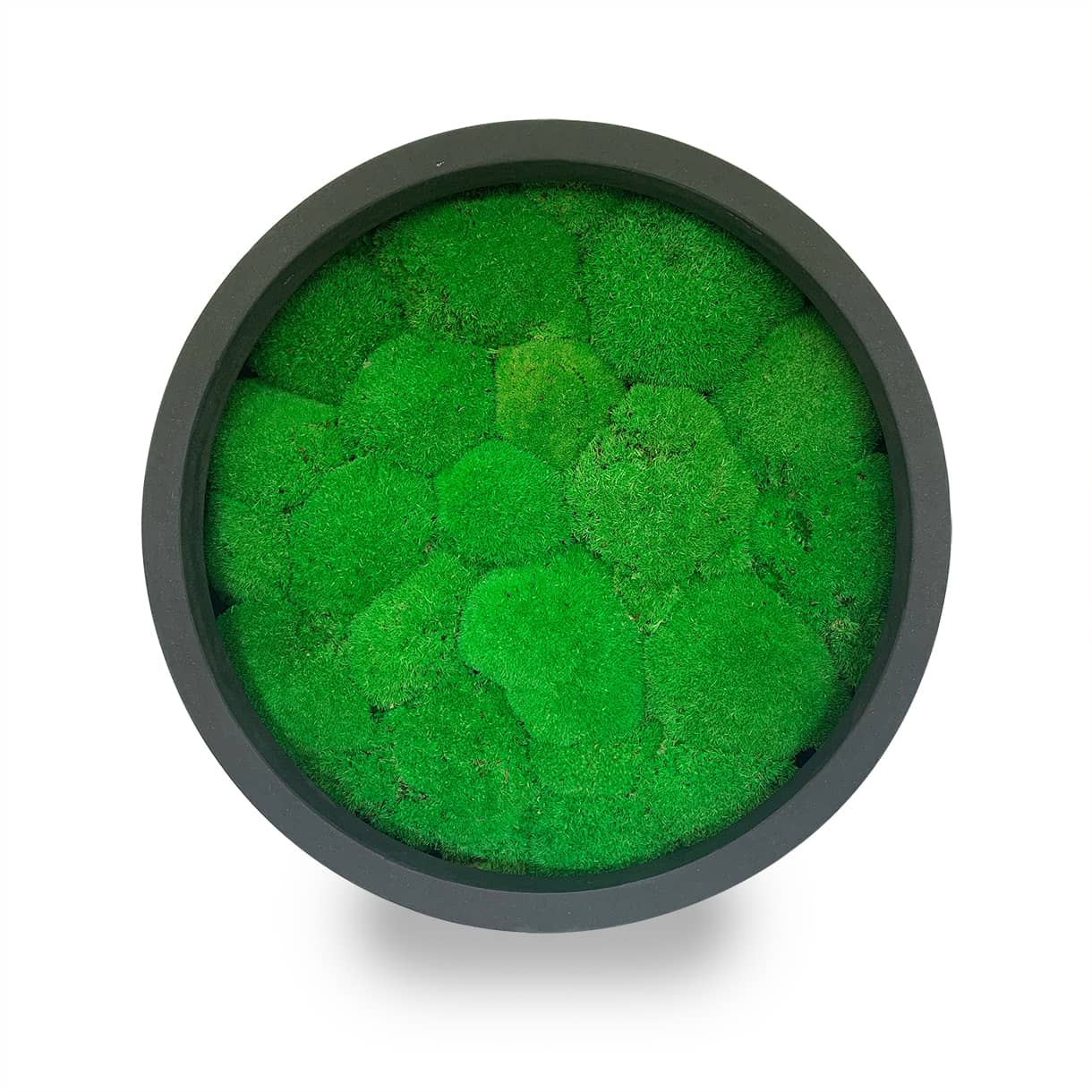 Tableau végétal naturel stabilisé rond Sphere 50