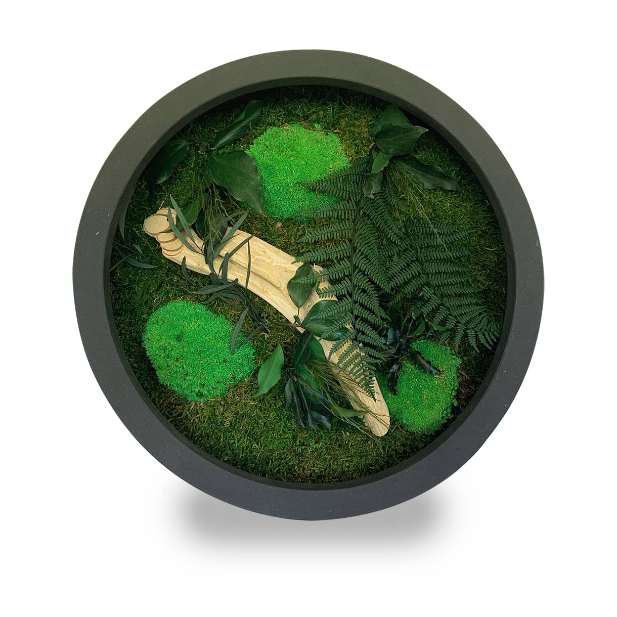 Tableau végétal naturel stabilisé rond Wood 40