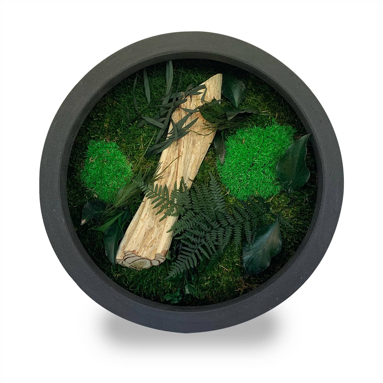 Tableau végétal naturel stabilisé rond Wood 30