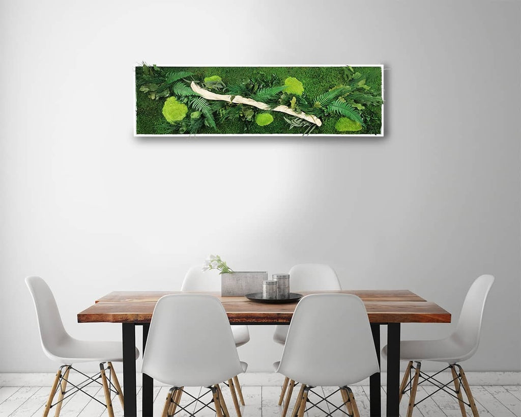 Tableau végétal stabilisé Wood 40x140 cm cadre blanc - bois flotté naturel fougères eucalyptus pittosporum lierres - composition végétale authentique méditerranéenne - mur végétal sans entretien arrosage fabrication française
