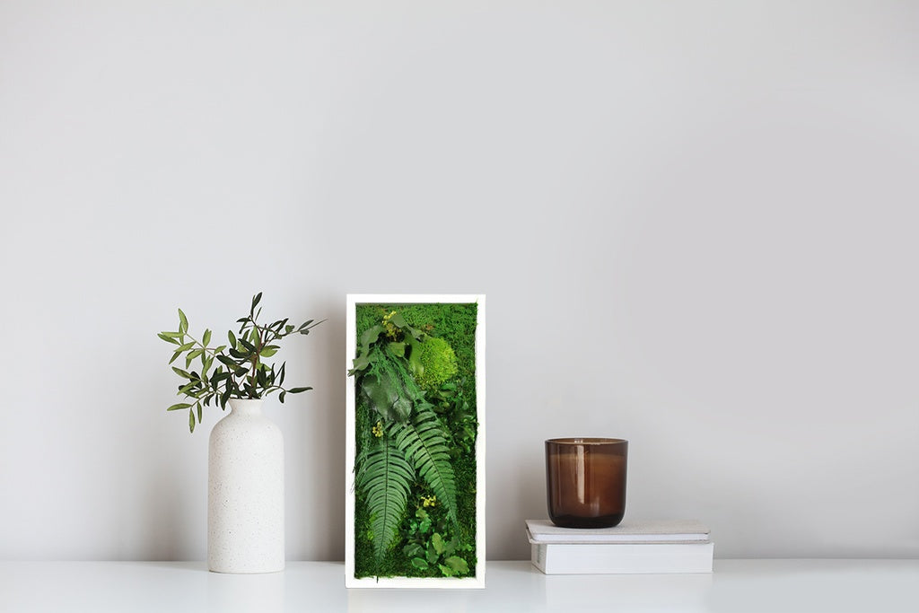 Tableau végétal stabilisé Elegance 18x38 cm cadre blanc - mousses boules vertes fougères lierres gypsophile - format rectangulaire vertical petit étroit - mur végétal sans entretien arrosage fabrication française
