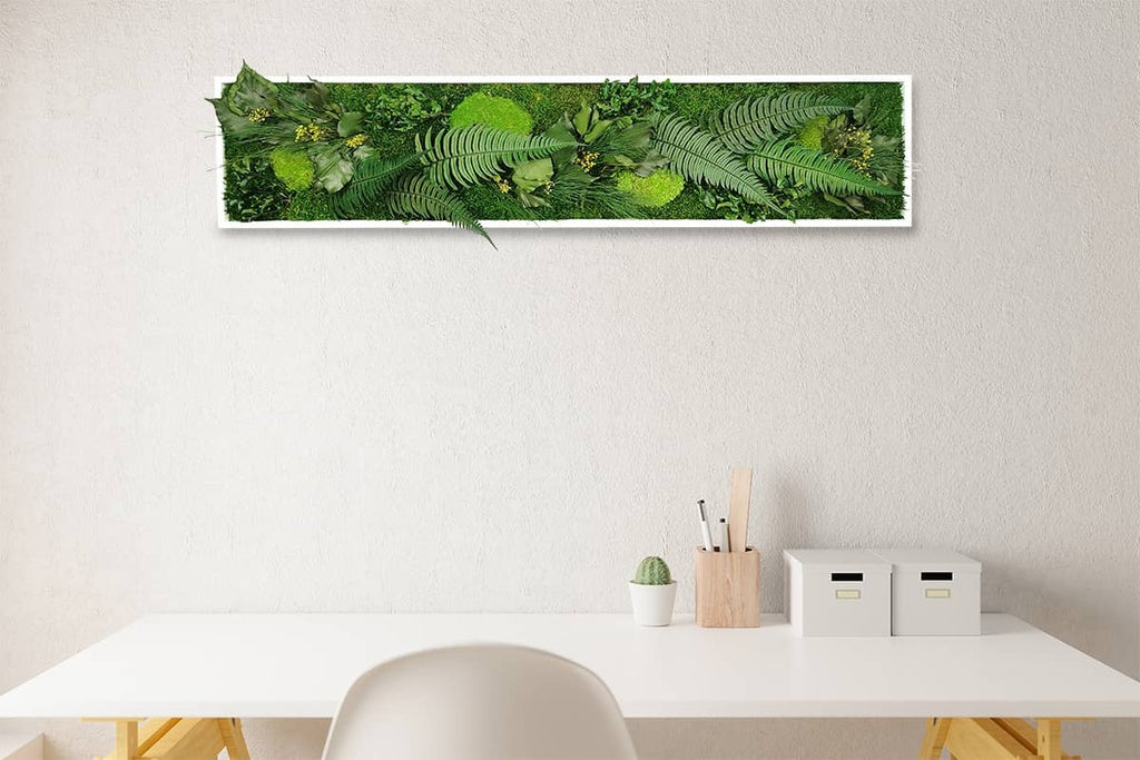 Tableau végétal naturel stabilisé Elegance 25x115 cm accroché mur salon - cadre blanc épuré vertical - jardin vertical intérieur sans eau lumière - décoration murale nature tendance 2025 France