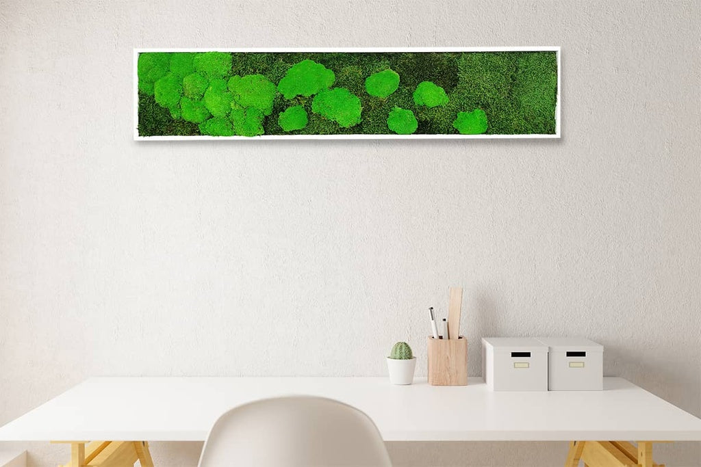 Tableau végétal stabilisé Moss 25x115 cm cadre blanc - mousses plates boules vertes naturelles - format rectangulaire vertical étroit long - mur végétal moderne épuré sans entretien arrosage fabrication française