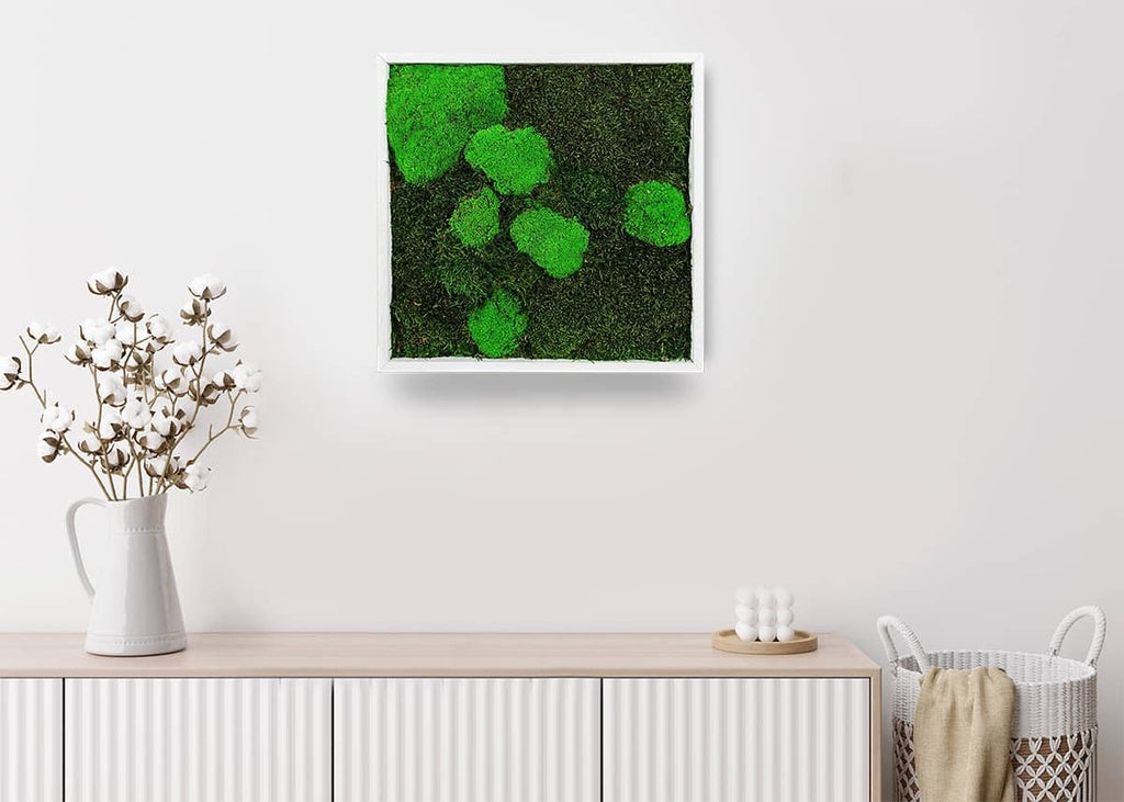 Tableau végétal stabilisé Moss 35x35 cm carré moyen cadre blanc - mousses plates boules vertes naturelles - format carré compact mur végétal moderne épuré sans entretien arrosage fabrication française