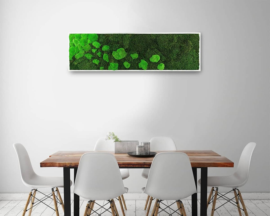 Tableau végétal naturel stabilisé Moss 40x140