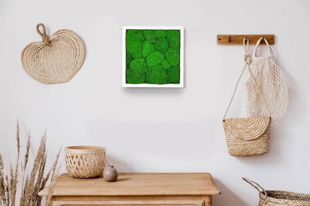 Tableau végétal stabilisé Sphere 22x22 cm carré petit cadre blanc - mousses boules vertes relief sphérique 3D - format carré compact mur végétal moderne sans entretien arrosage fabrication française