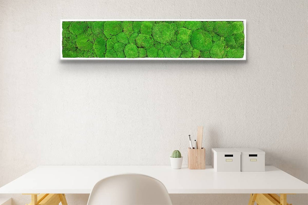 Tableau végétal stabilisé Sphere 25x115 cm accroché mur salon - cadre blanc épuré format étroit vertical long - mur végétal décoratif mousses boules - idéal couloir entrée bureau professionnel sans arrosage