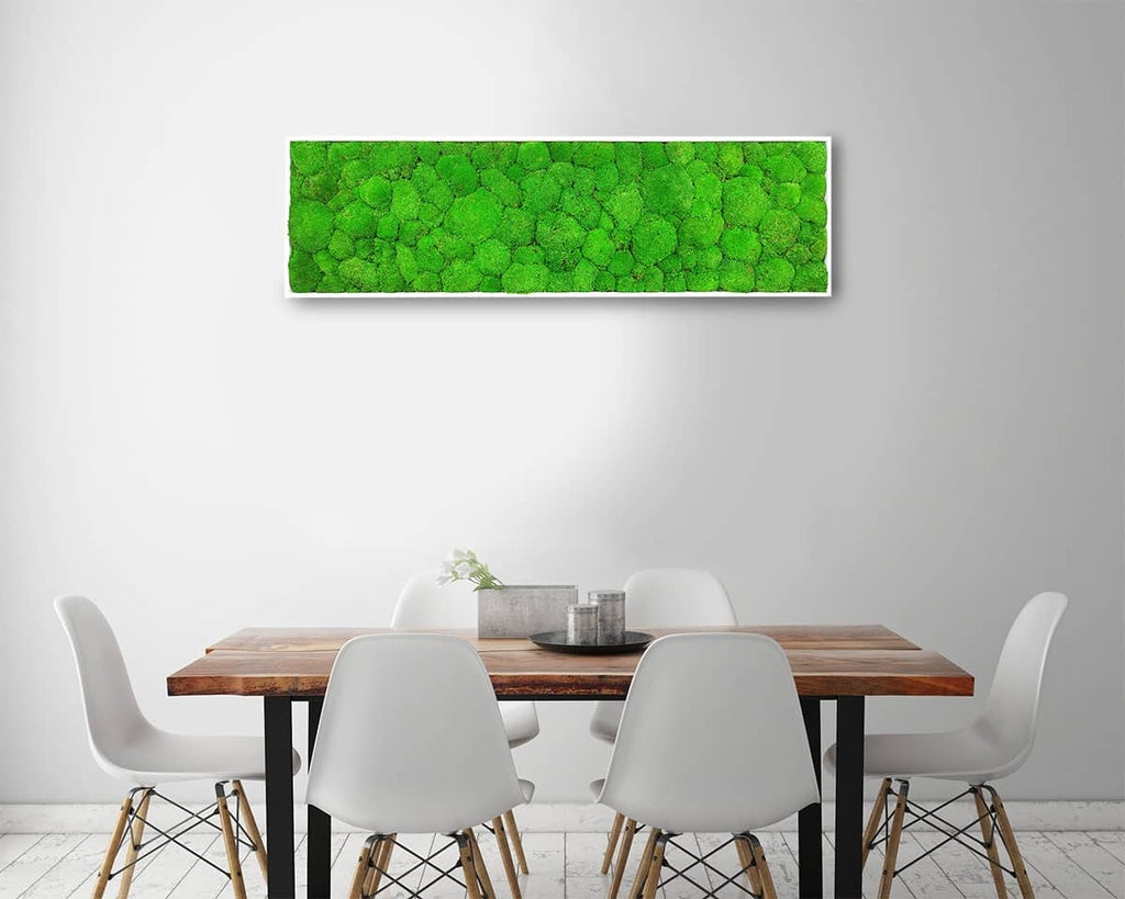 Gros plan détail tableau végétal Sphere 40x140 cm - texture mousses boules vertes relief sphérique 3D - composition végétale unique - plantes stabilisées durables 10 ans sans entretien France