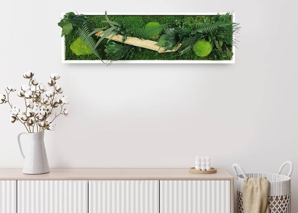 Tableau végétal stabilisé Wood 20x70 cm cadre blanc - bois flotté naturel fougères eucalyptus pittosporum lierres - format rectangulaire vertical étroit - mur végétal méditerranéen sans entretien arrosage France