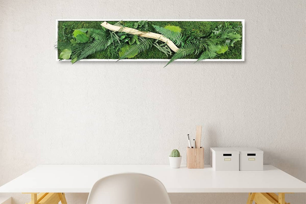 Tableau végétal stabilisé Wood 25x115 cm cadre blanc - bois flotté naturel fougères eucalyptus pittosporum lierres - format rectangulaire vertical étroit - mur végétal méditerranéen sans entretien arrosage France