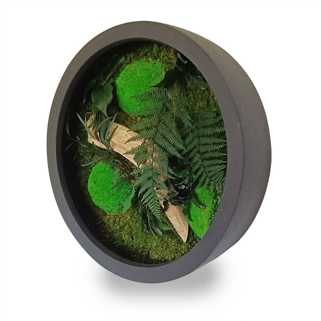 Tableau végétal naturel stabilisé rond Wood 40