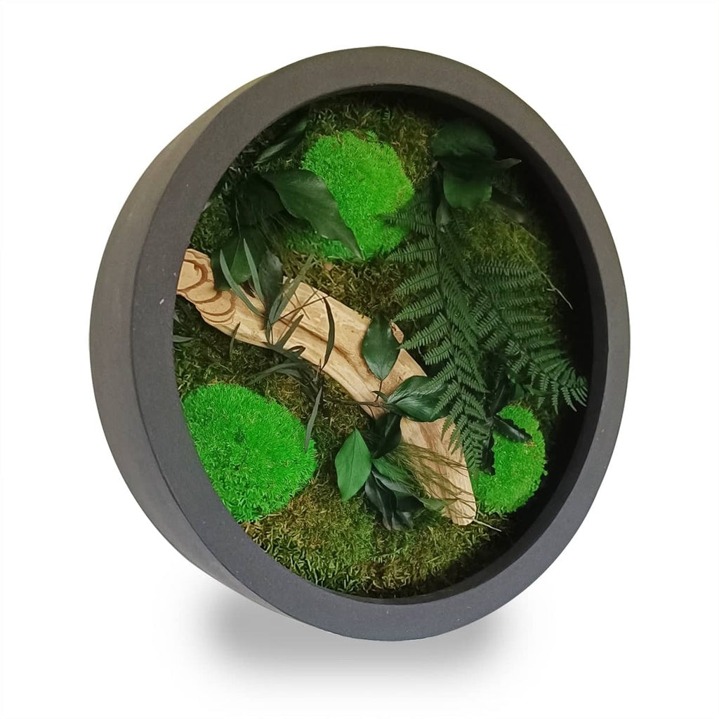Tableau végétal naturel stabilisé rond Wood 40