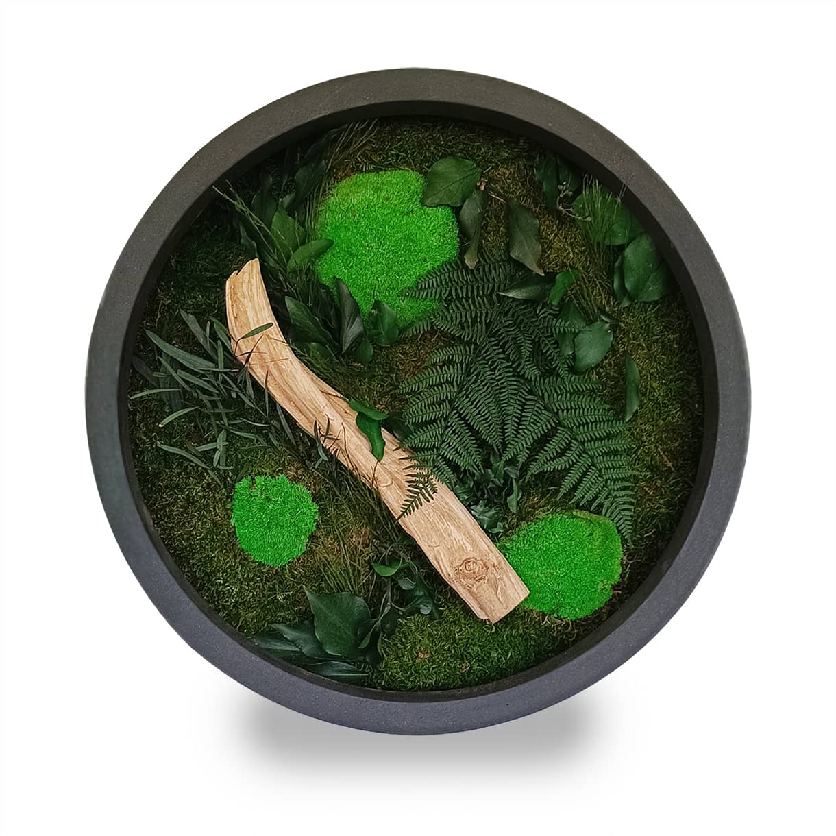 Tableau végétal naturel stabilisé rond Wood 50