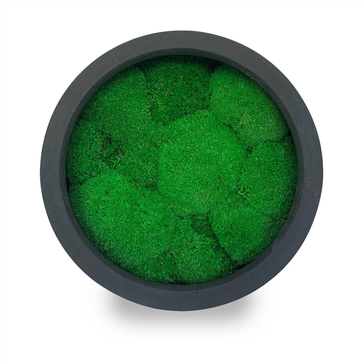 Tableau végétal naturel stabilisé rond Sphere 30